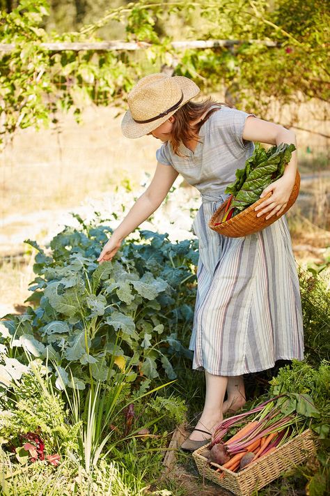 trinette reed | stocksy Gardener Reference, People Gardening, Farmer Woman, Woman Gardening, Women Gardening, Grey Cottage, Gardener Aesthetic, Female Farmer, Calcium Rich Foods