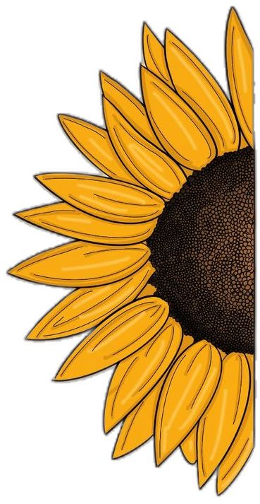 Pranks To Pull, Harmless Pranks, Be A Sunflower, Sunflower Quotes, Sunflower Kitchen Decor, April Fools Pranks, Quote Graphic, Front Page Design, Sunflower Kitchen