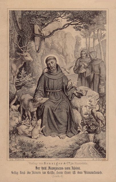 St Francis Of Assisi Animals, Saint Francis Of Assisi Art, Francis Of Assisi Art, Francis Assisi, Cloud Of Witnesses, St Francisco, St Francis Assisi, Roman Catholic Art, Catholic Aesthetic