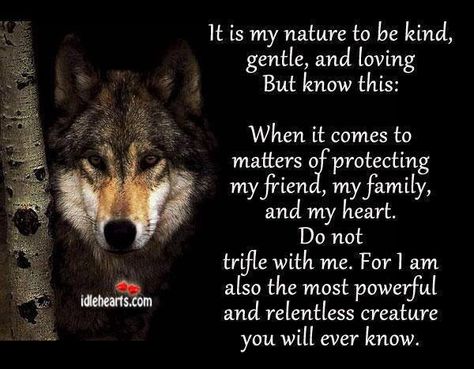 My love and loyalty to family and friends! Wolf Poem, American Quotes, Indian Quotes, Native American Wisdom, Native American Quotes, Wolf Quotes, She Wolf, Wolf Spirit, A Wolf