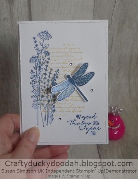 Dragonfly Garden, Silhouette Cards, Dragonfly Dreams, Butterfly Cards, Stamping Up Cards, Get Well Cards, Masculine Cards, Card Layout, Sympathy Cards