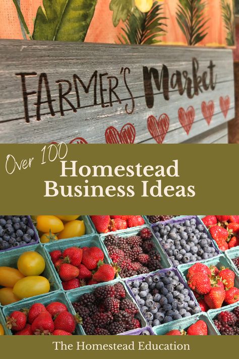 Homesteading While Working Full Time, Homesteading Business Ideas, Homestead Asethic, Homestead Business Ideas, Meal Worms For Chickens, Homestead Tools, Homesteading Food, Homestead Business, Self Sufficient Living