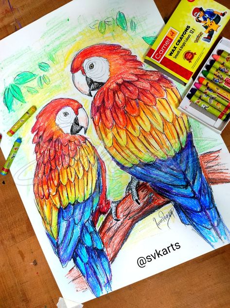 Wax Crayons Drawing, Macaw parrot drawing, Macaw Parrot Drawing, Wax Crayons Drawing Ideas, Wax Crayon Art, Macaw Art, Parrot Drawing, Parrot Painting, Drawing Scenery, Parrots Art, Crayon Drawings