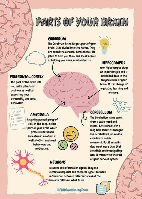 Intro To Psychology, Psychology A Level, Dream Psychology, Ap Psych, Learning Psychology, Psychology Careers, Ap Psychology, Psychology Notes, Psychology Studies