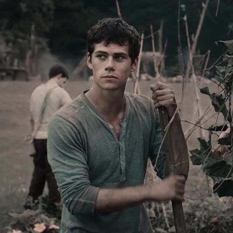 #Icon #MazeRunner Dylan Obrien Maze Runner Gif, Thomas The Maze Runner, Maze Runner Characters, Dylan O Brain, Dylan O Brien Cute, Maze Runner Thomas, Maze Runner Cast, Dylan Obrian, Maze Runner Movie