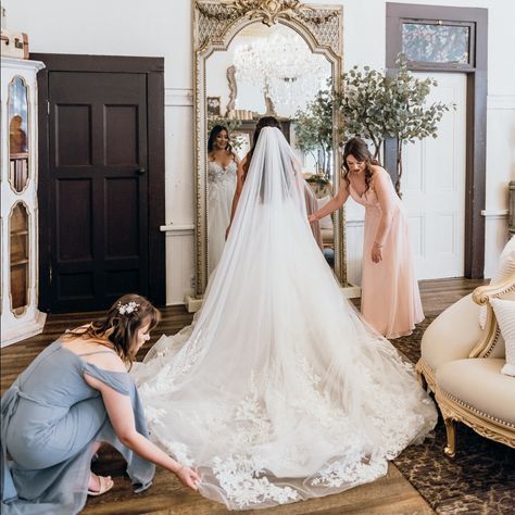 Beautiful Mia Solano Tara Ballgown Dress With 3d Floral Embellishments. Very Lightly Worn Before I Switched To My Second Dress For Reception. It Is Practically Brand New. Also The Matching Cathedral Veil Is Included And Amazing For Photos! I Hope This Makes Another Bride Feel Amazing As I Did On My Wedding Day! Wedding Veil Photos, Bride Photoshoot Bridal Portraits, Dress For Reception, Ballgown Dress, Second Dress, Wedding Dress Color, Bride Photoshoot, My Wedding Day, Cathedral Veil