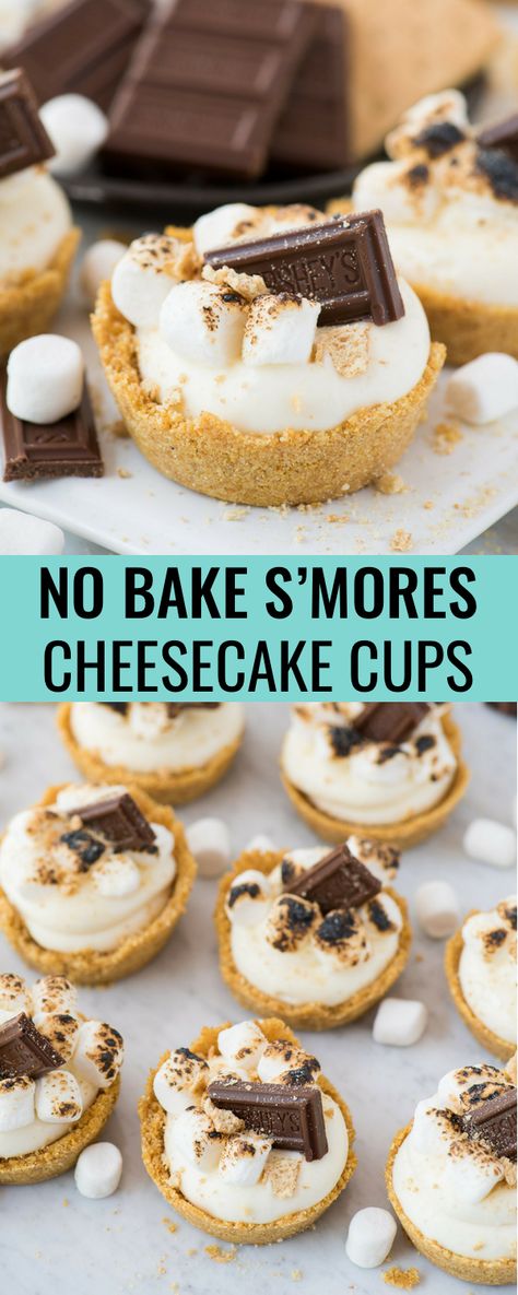 Baked Smores, Dessert Cheesecake, Smores Dessert, Cheesecake Cups, Cheesecake Dessert, Cake Easy, S'mores, Köstliche Desserts, Savoury Cake