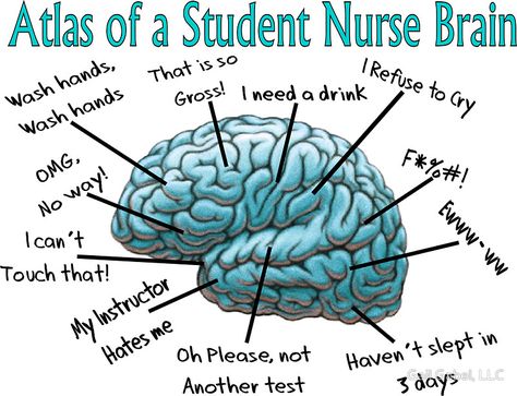 Nursing Student Humor Brain Nursing Student Humor, Brain Sticker, I Need A Drink, Funny Nursing, Brain Facts, Student Humor, Nursing School Notes, Nursing Memes, Sticker Funny