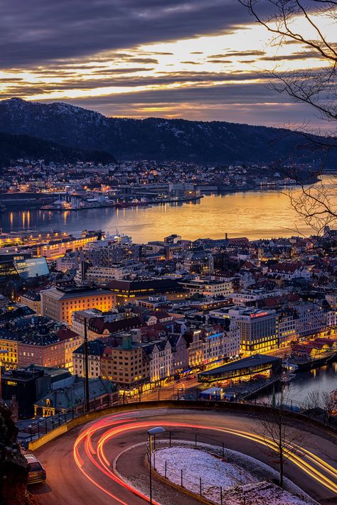 Norway City, Monkey Video, Bergen Norway, Norway Travel, Night Scenery, Cute Monkey, World Cities, Beautiful Places Nature, Phone Background