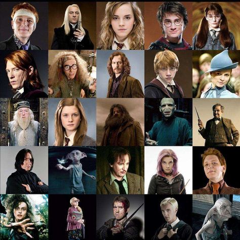 All Harry Potter Characters, Harry Potter Personality Quiz, Pottermore Quiz, Harry Potter Personality, Harry Potter Quizzes, Which Character Are You, Circus Characters, Harry Potter Quiz, Gellert Grindelwald