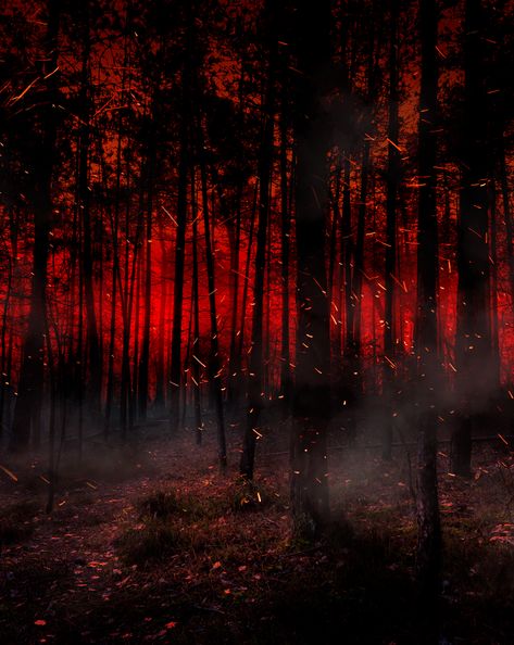 Forest On Fire Aesthetic, Palace Fantasy Fire, Burning Forest Aesthetic, Burning Forest Art, Fire Aethstetic, Fire Aesthetic Background, Forest Fire Aesthetic, Fire Background Aesthetic, Forest Fire Illustration