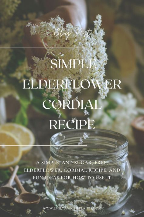 Pear Cordial Recipe, Elderberry Cordial Recipe, Elderflower Cordial Recipe, Homemade Cordial, Medical Garden, Elderflower Recipes, Elderflower Champagne, Cocktail Bar Design, Elder Flower