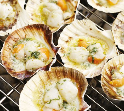 Roasted Scallops in the Half Shell with Lemon Caper Butter                                                 So simple and utterly delciious. Choose the freshest scallops and remove the tough little hinge on the side of each one before cooking. Caper Butter, Fresh Scallops, How To Cook Scallops, Grilled Scallops, Stuffed Shells Recipe, Scallop Recipes, Quick And Easy Recipes, Butter Recipe, Fish Dishes