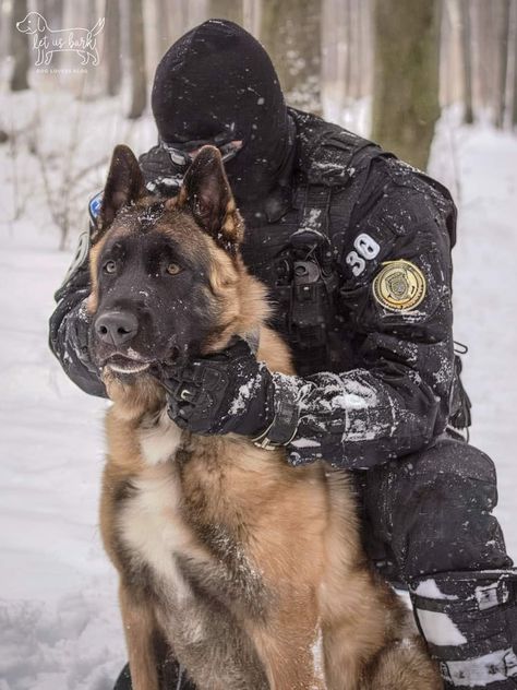 K9 Aesthetic, K 9 Dogs, Cutest Dog Breeds, Hunting Dogs Breeds, Dog Hunting, Dog Soldiers, Army Dogs, K9 Dogs, Military Dog