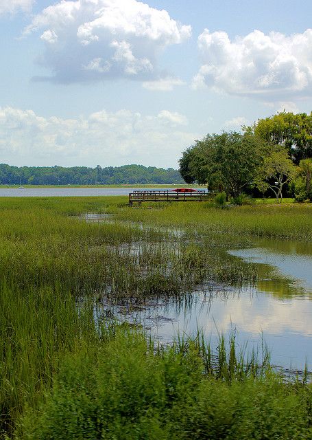 Beaufort South Carolina, Main Point, In The Navy, Country Landscaping, 수채화 그림, Travel Design, Low Country, Art Travel, Design Architecture