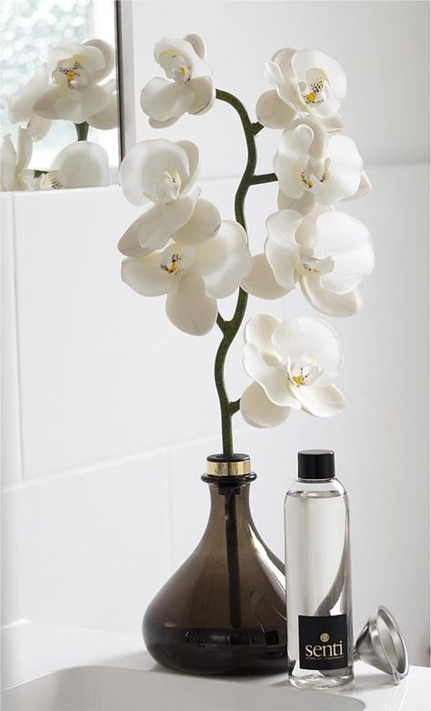 Senti Orchid Room Fragrancer | British Beauty Blogger #homefragrance #reeddifuser #fragrancer #senti #fragrance Reed Difusser, Orchid Room, Reed Diffuser Packaging, Room Fragrance, Valentines Gift Box, Home Fragrance Accessories, Artificial Orchids, Reed Diffusers, Room Fragrances