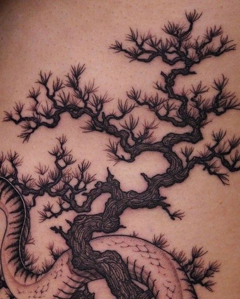 Asian Tree Tattoo, Japanese Pine Tree Tattoo, Chinese Tree Tattoo, Japanese Tree Tattoo, Nature Realism Tattoo, Bonsai Tree Drawing, Tree Tattoos For Women, Bonsai Tree Tattoo, Bonsai Tattoo