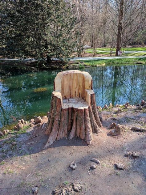 Tree trunk chair Tree Trunk Ideas, Carved Tree Stump, Tree Chair, Trunk Ideas, Tree Furniture, Tree Carving, Old Tree, Tree Trunks, Garden Yard Ideas