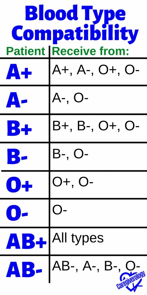 Blood Type Compatibility: Receive Types Of Blood Group, Blood Type Chart, Blood Compatibility, Function Of Blood, Medical Terminology Study, Blood Types, Type Chart, Blood Group, Kartu Remi