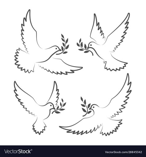 Dove With Olive Branch Tattoo, Ramo Tattoo, Peace Dove Tattoos, Dove With Olive Branch, Olive Branch Tattoo, Dove Tattoos, Dove Tattoo, Branch Tattoo, Branch Vector