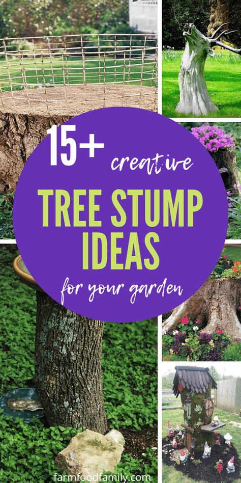 These tree stump ideas that will transform your yard into something eye-catching. Decorate Stumps In Yard, Giant Tree Stumps, Tree Stump Fence Ideas, Ideas For Old Tree Stumps, Ideas For Large Tree Stumps, Growing Plants In Tree Stumps, How To Disguise A Tree Stump, Painting Tree Stumps Ideas, Decorated Tree Stumps