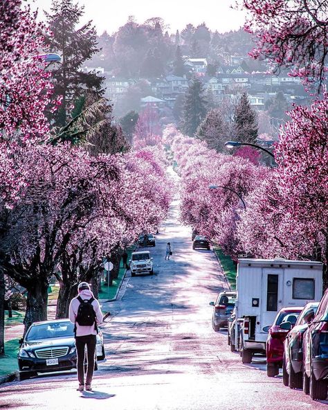 🌎hello_w@rld on Instagram: “🔺This wonderful picture is by @nick_vancity 🔹Location : Vancouver , Canada 🔺Founders @reginesemaan @sohakouraytem 🔹Tag #hello_worldpics for…” Canada Summer, Stanley Park, Moving To Canada, Wonderful Picture, Still Waiting, Vancouver Canada, Vancouver Bc, Sunshine Coast, Beautiful Nature Scenes