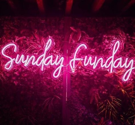 👏🏻💘👏🏻 Neon Sculpture, Aesthetic Neon, Neon Wall Signs, Neon Signs Home, Neon Wall Art, Neon Words, Neon Wall, Sign Maker, Word Signs