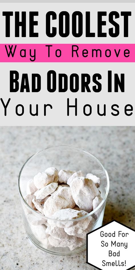 If you want a natural, easy way to remove bad odors in your home, these rocks are the answer! Affordable and you can use them for a long time. This removes pet odor, trash, diaper, mildew, and musty scents in small spaces. Learn how it works in our post too! Homemade Odor Eliminator Sprays, House Odor Remedies, House Smells Musty How To Get Rid, Bathroom Odor Eliminator Diy, Homemade Odor Eliminator, Best Odor Eliminator For Home, How To Get Rid Of Pee Smell In Bathroom, Charcoal Odor Absorber Diy, Get Rid Of Musty Smell In House