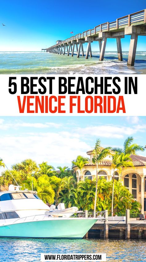 5 Best Beaches In Venice, Florida Florida In December, Venice Beach Florida, Places To Visit In Florida, Beaches In Florida, Best Beach In Florida, Florida Travel Guide, Best Beaches To Visit, Travel Florida, Venice Florida