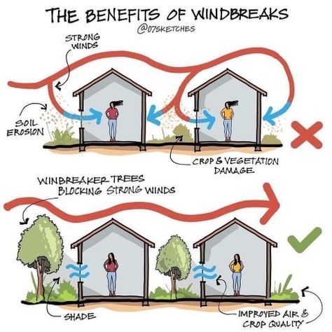 Passive House Design, Eco House Design, Landscape And Urbanism Architecture, Passive Design, Landscape And Urbanism, Passive House, Green Architecture, Earthship, Important Information