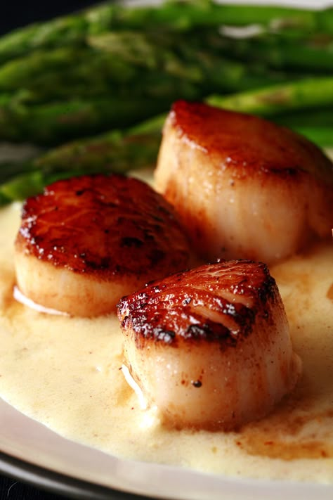 Sauce For Scallops, Shrimp And Scallop Recipes, Wine Cream Sauce, White Wine Cream Sauce, Fish Dinner Recipes, Seafood Entrees, Seared Scallops, Best Seafood Recipes, Scallop Recipes