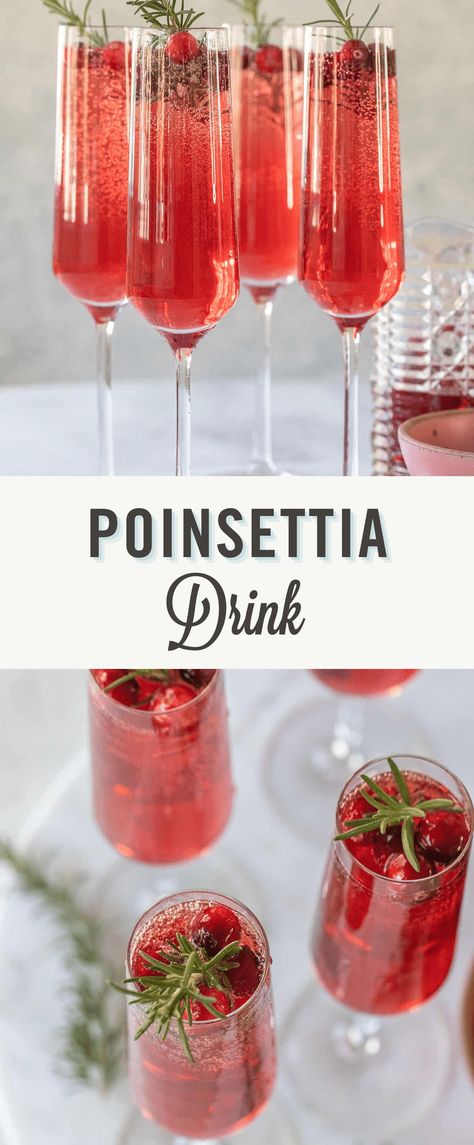 Poinsettia Drink, Poinsettia Cocktail, Cranberry Champagne Cocktail, Cranberry Cocktail Recipe, Cranberry Fizz, Christmas Cocktails Easy, Pomegranate Cocktails, Holiday Drinks Alcohol, Holiday Punch Recipe