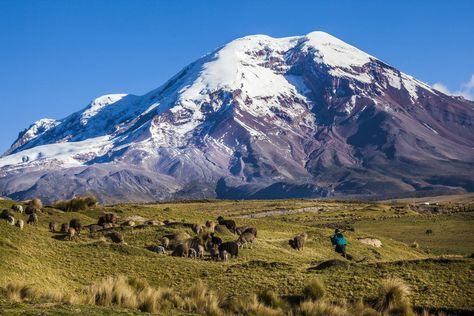 Mt Chimborazo, one of the most coveted mountaineering destinations in South America Top Of Mount Everest, The Andes Mountains, Lake Titicaca, Andes Mountains, Active Volcano, White Water Rafting, Blue Ridge Mountains, Quito, Beautiful Mountains