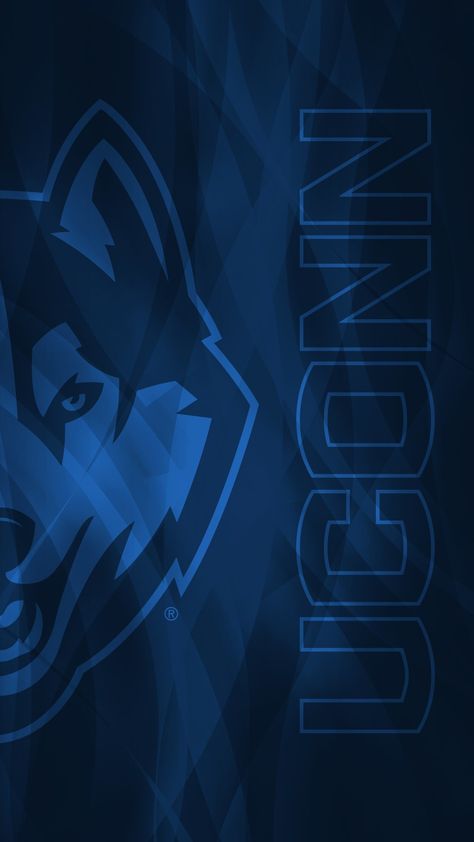 Uconn Womens Basketball Wallpaper, Husky Logo, Uconn Womens Basketball, Paige Bueckers, Eating Before Bed, Uconn Huskies, University Of Connecticut, Dream College, Wallpapers Android