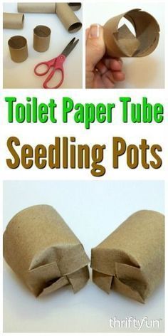 Toilet Paper Tubes, Plantarea Legumelor, Plants Diy, Seedling Pots, Paper Pot, Toilet Paper Tube, نباتات منزلية, Garden Types, Veg Garden