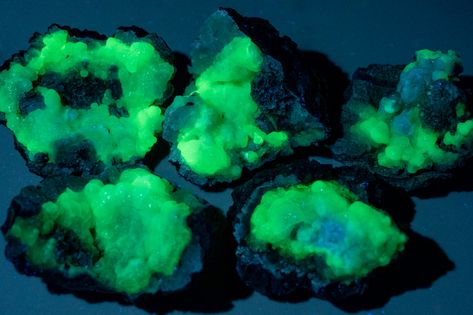 Hyalite Opal, Opal Meaning, Water Opal, Franz Joseph, Crystal Box, Ultraviolet Light, Crystal Gems, Bright Green, Name It