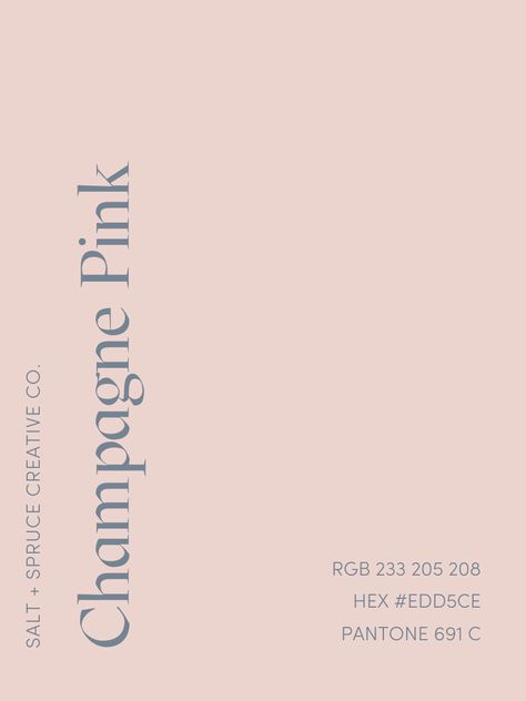 Light Pink Pallete Color, Pale Pink Color Scheme, Champagne Colour Aesthetic, Light Pink Branding, Champagne Pink Aesthetic, Pink Color Swatch, Pink Swatches, Pink Website, Pink Branding