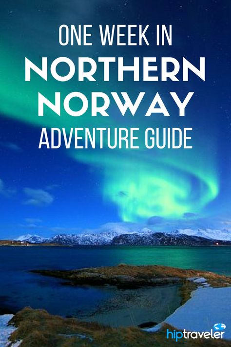 The ultimate adventure itinerary for exploring Northern Norway, starting in Trondheim, passing through Bodø and Harstad, and ending in Tromsø, this guide covers the northern lights to scenic train trips and beyond. | Blog by HipTraveler #Travel #Norway Durmstrang Institute, Scandinavian Travel, Europe Adventure, Travel Norway, Train Trips, Traveling Europe, Northern Norway, Hiking Europe, Visit Norway