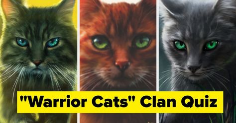 Take this quiz to see which Warrior Cats clan fits you best. Warrior Cats Quiz, Warrior Cats Clans, The Ultimate Warrior, Warrior Cat Names, Cat Medicine, Warrior Names, Warrior Cats Books, Ultimate Warrior, What Cat