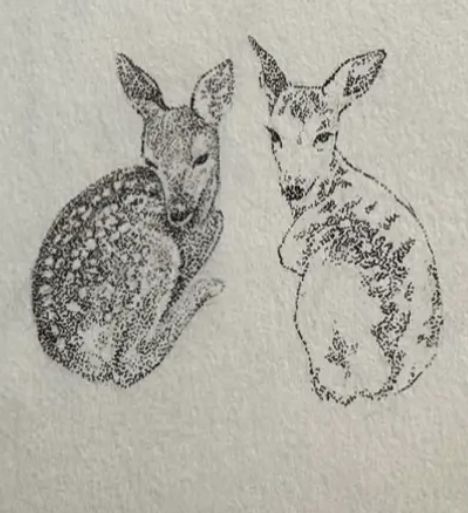 @divine.dust_ on ig Doe Tattoo Design, Sling Tattoo, Deer Chest Tattoo, Dear Tattoos, Deer Tattoos For Women, Fawn Tattoo, Two Headed Calf, Deer Tattoos, Doe Tattoo