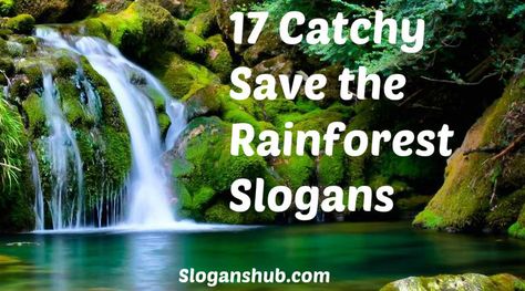 Save the Rainforest Slogans #slogans #Taglines #SavetheRainforestSlogans Save The Rainforest, Save The Earth, The Rainforest, Catch Phrase, Save Earth, Trees To Plant, The Earth, Trees, Forest