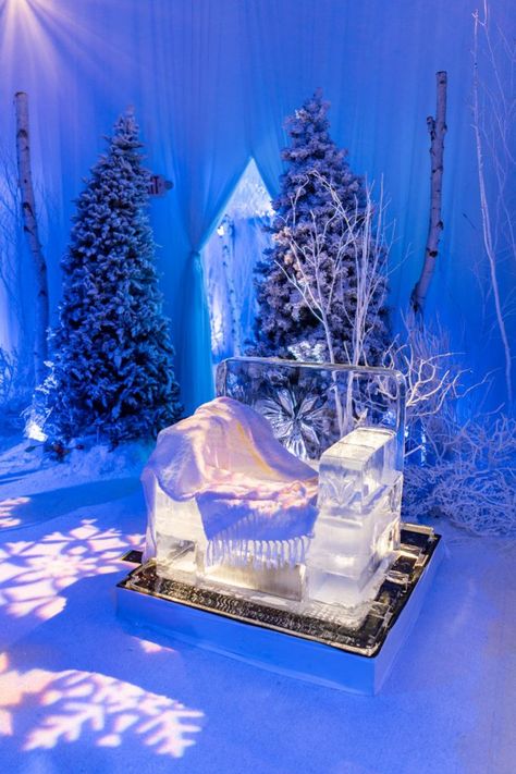 Christmas Event Ideas, Stormi World, Winter Wonderland Quinceanera, Winter Wonderland Party Theme, Holiday Movie Night, Mindy Weiss, Wonderland Events, Baby Boy 1st Birthday Party, Christmas Shoot