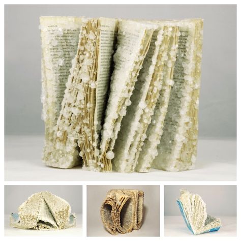 "Crystallized Books" #bookart by Alexis Arnold - old copies of books are frozen with heavy crystal growth.  💬 The crystals remove the text and solidify the books into aesthetic, non-functional objects Crystalised Book, Borax Crystal Book Diy, Diy Crystalized Book, How To Crystallize A Book, Crystallized Book Diy, How To Crystallize Books, Crystal Book Diy, Borax Crystal Book, How To Crystalize A Book