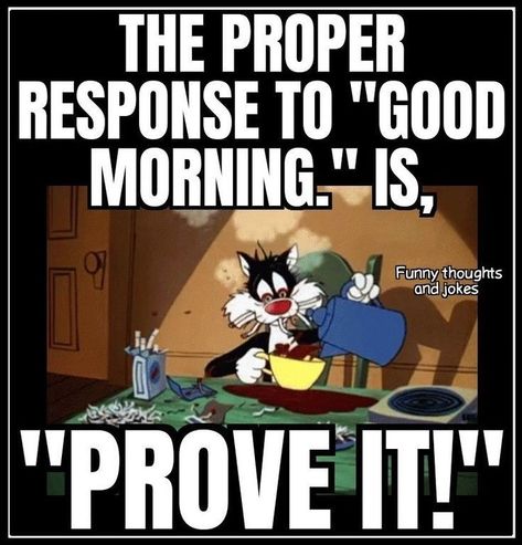 Looney Tunes Funny Quotes, Looney Tunes Quotes, Looney Tunes Funny, Looney Tunes Wallpaper, Sarcastic Words, Crochet Quote, Funny Day Quotes, Happy Day Quotes, Good Morning Funny Pictures