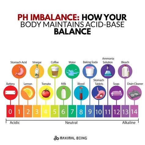 When you exhale, you’re expelling that carbon dioxide, a process that also helps regulate your body’s pH balance by reducing acidity. The amount of carbon dioxide you exhale is a function of how deeply you inhale or exhale. Your brain constantly monitors this in order to maintain the proper pH balance in your body. The kidneys help the lungs maintain acid-base balance by excreting acids or bases into the blood. The kidneys’ effect on acidity works much more slowly than that of the lungs. Things To Help With Ph Balance, Balance Body Ph Level, Reset Ph Balance, How To Fix Your Ph Balance, How To Fix Ph Balance, Ph Levels Female, Balance Ph Levels Women, How To Balance Ph Levels For Women, Acid Base Balance