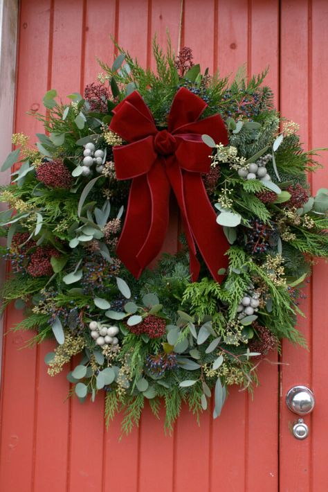 Christmas Wreaths and Flower Arrangements - Edinburgh / East Lothian Reef Ideas Christmas, Christmas Wreath Traditional, Christmas Wreaths Diy Evergreen, Christmas Wreath With Ribbon, Christmas Flower Arrangements Ideas, Holly Wreaths, Real Christmas Wreaths, Floral Christmas Wreath, Fresh Christmas Wreaths