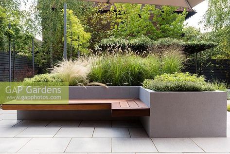 Contemporary seat and raised bed with Salvia officinalis 'Kew Gold', Stipa tenuissima, Pennisetum thunbergii 'Red Buttons', Thymus 'Silver Queen' and Molinia caerulea 'Karl Foerster' Raised Planters With Seating, Raised Bed With Bench, Molinia Caerulea, Stipa Tenuissima, Steep Gardens, Backyard Planters, Raised Planters, Salvia Officinalis, Contemporary Planters