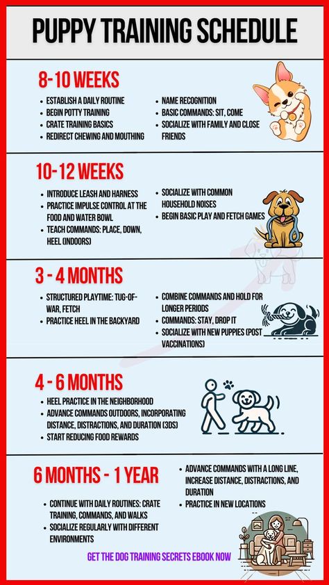 puppy training schedule Puppy Feeding Schedule, Puppy Schedule, Puppy Training Schedule, New Puppy Checklist, Crate Training Puppy, Puppy Crate, Puppy Mom, Puppies Tips, Dog Quotes Love