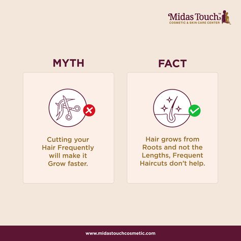 Myth Fact, Skin Care Myths, Salon Concepts, Hair Salon Marketing, Hair Myth, Dental World, Skin Care Center, Hair Facts, Education Banner