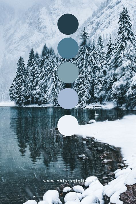 Winter inspirationBlue and white color palettewintermoodboard wintercolorscheme colorpaletteideas colorpalette wintercolorpalette January Color Pallete, Tundra Color Palette, Winter Nail Palette, January Colors Palette, Winter Color Palette Aesthetic, Winter Mountain Color Palette, Winter Aesthetic Color Palette, Winter Blue Color Palette, January Colour Palette